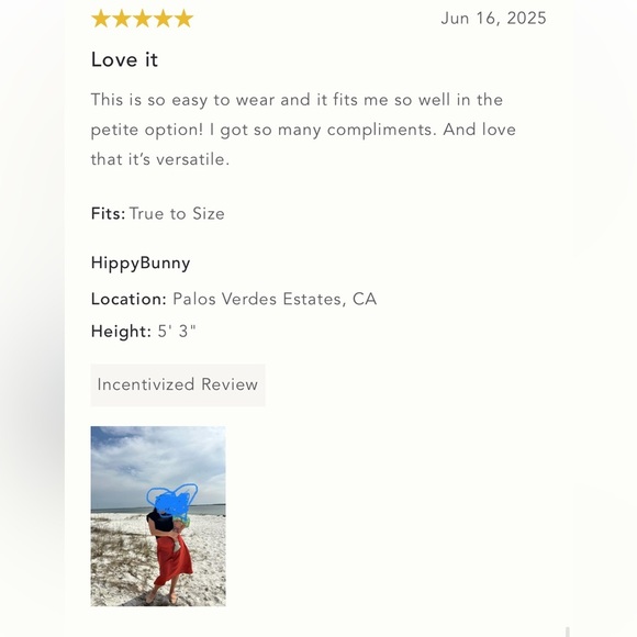 NWT Anthropologie The Gemini Cap-Sleeve‎ Sweater + Tank Dress Set - Picture 8 of 12